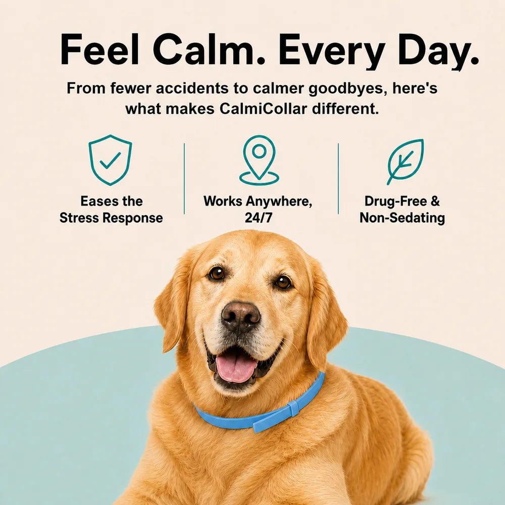 CalmiCollar NeuroEase Calming Collar