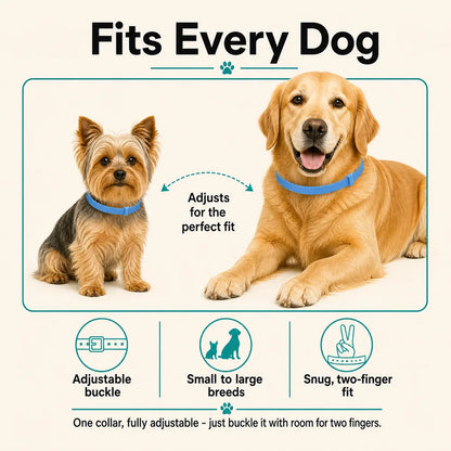 CalmiCollar NeuroEase Calming Collar