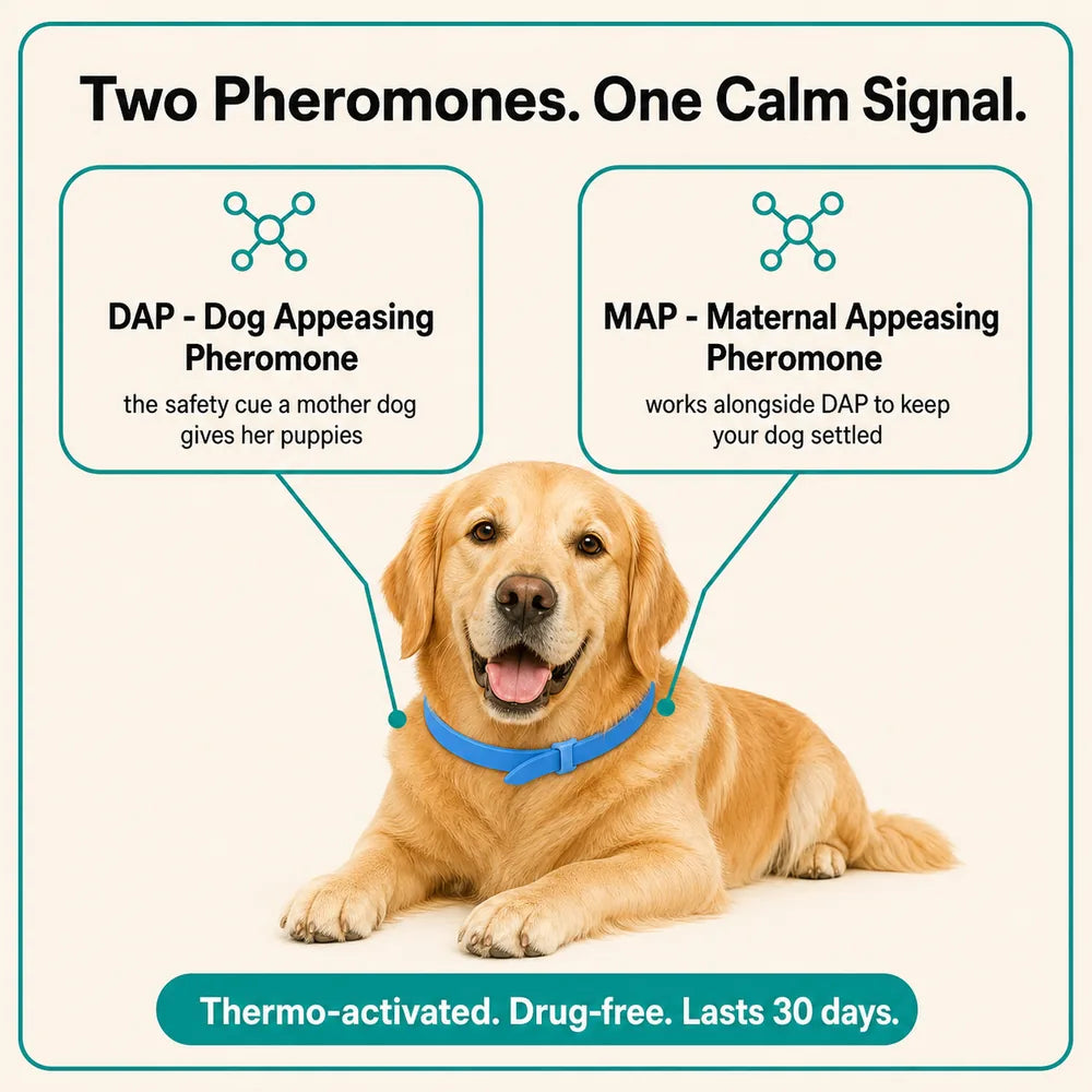 CalmiCollar NeuroEase Calming Collar